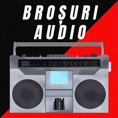 BROȘURI AUDIO | O critică anarhistă a anarhiei relaționale (Ioni și Răvășel)