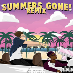 Summers Gone Remix (feat. Purple Akuma)