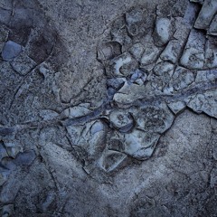 Det er ikke deres dans