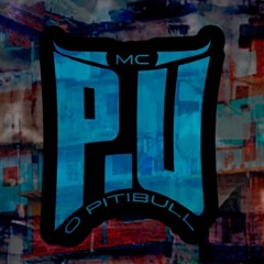 MC - P.U- TROPA DA FAVELA (PROD. PALLADYNUS DJ)