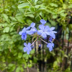 世界の終わりにて。