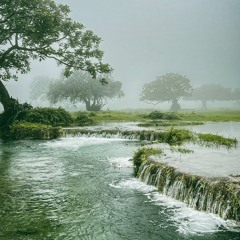 تلاوات أحمد بن طالب