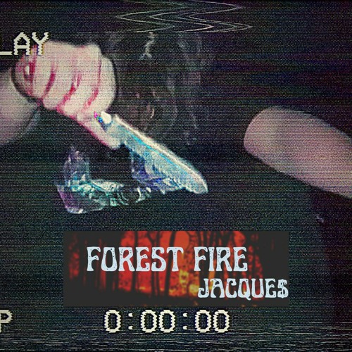 BURNING TREES (prod.ken2) - JACQUE$