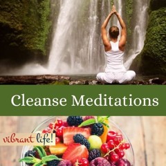 Vibrant Life - Your Relationship With Food Meditation