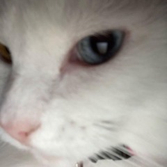 IN YOUR EYES ( MG X RZKYSTYLE ) #ANTITURBO!