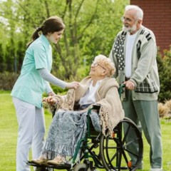 Top Physical Disability Care Services That Will Meet Your Needs