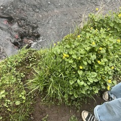 2manyproblems @xtasane