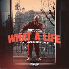 what a life - illie , mocromaniac , rotjoch