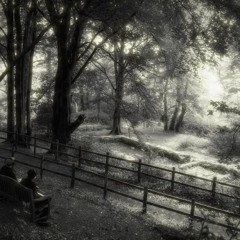 Chapel Wood