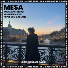 Sound Escape Radio 008 w/ MESA - Halfmoon BK 03.12.24