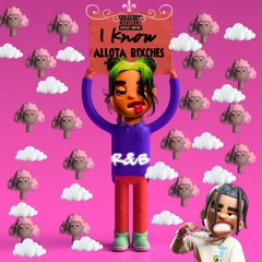 I KNOW ALOTTA BIXCHES FEA. MZCHIEF BEATSHOP