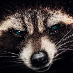 Down to a Dark Path (Rockets Theme) SLOW ORCHESTRAL VERSION(Composed By Matthew Deligeorges)