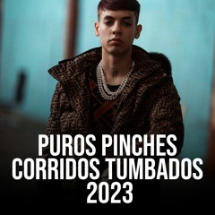PUROS PINCHES CORRIDOS TUMBADOS 2023