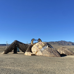 White Rabbit | 8DoC Stage | AfrikaBurn | 2025
