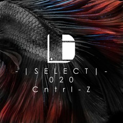 Drone Select 020 /// Cntrl-Z