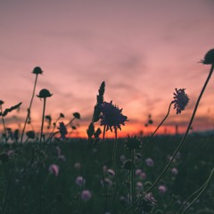 Resting in Your Arms (w/ The David Roy Collective)