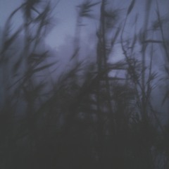 unexpected error - Wine Of Love