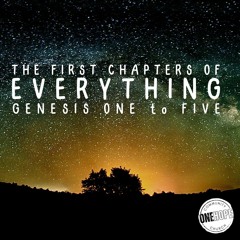 The First Chapters Of Everything: A Very Good Place To Start - Andy Buchan