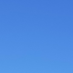 Everyones Skyblue