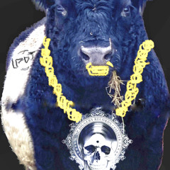 LIKE-A-BULL(LDSR 196/2)
