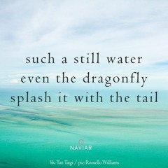 Dragonfly (naviarhaiku399)