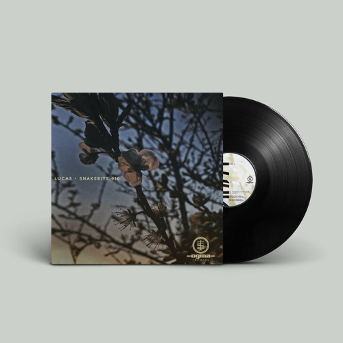 Rite of Passage [OGMA RECORDS]