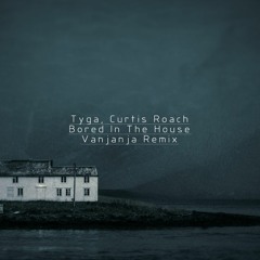 Tyga, Curtis Roach - Bored In The House (Vanjanja Remix)