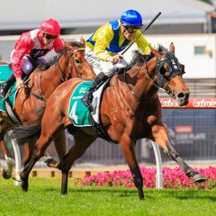 Derby & Coolmore Punting Preview