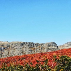 HK_Libre_Dance_Sets_187