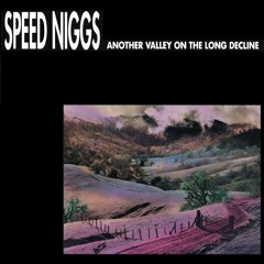 SPEED NIGGS - Paint It Sweet (feat. Evan Dando)