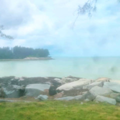 My Blanket Covers You