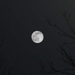 type solo - последний трек