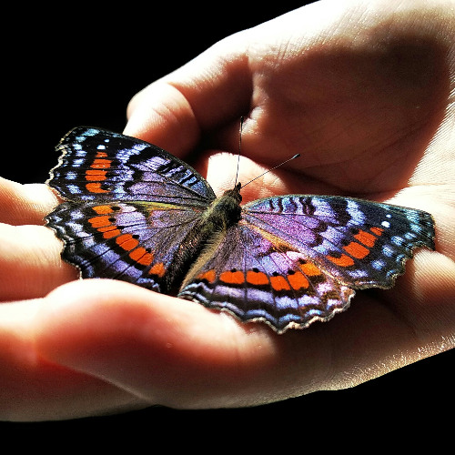 The Spiritual Benefits of Awe