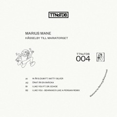 Marius Mane - Hässelby till Mariatorget (TTNoTDB004)