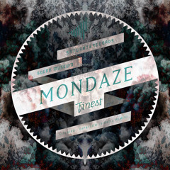 LITLBIRD - DIP&FLOW (SIGKILL REMIX) (STRTMF144)