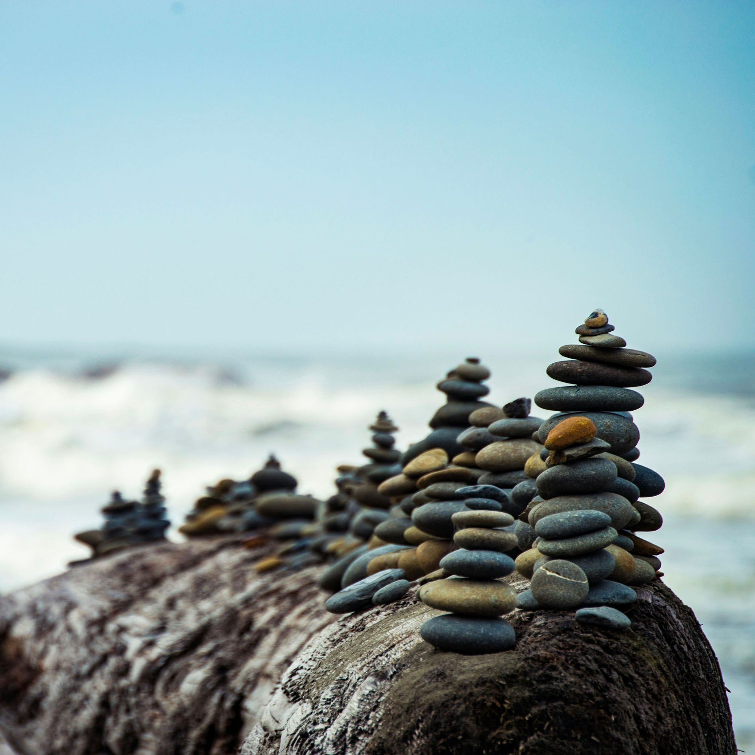 Associazione Kalyanamitta: Meditazione, Mindfulness, Buddhismo
