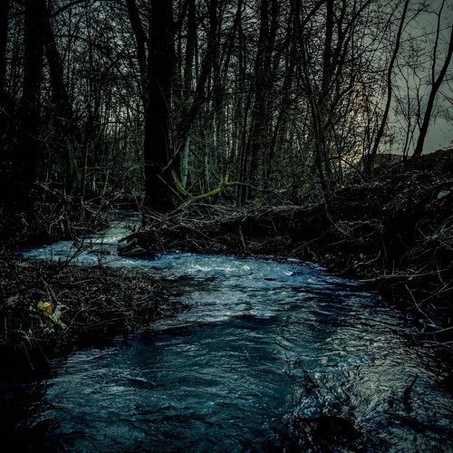 Into the Dark