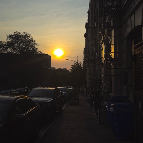 David.O.White.PizzFeetUnder.Challenge.TheCrowhillCompany.08.02.2025 - 03(2)