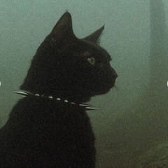 *Don’t Let Go Of My Hand*