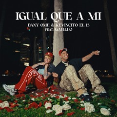 Igual Que a Mi (feat. Gatillo)