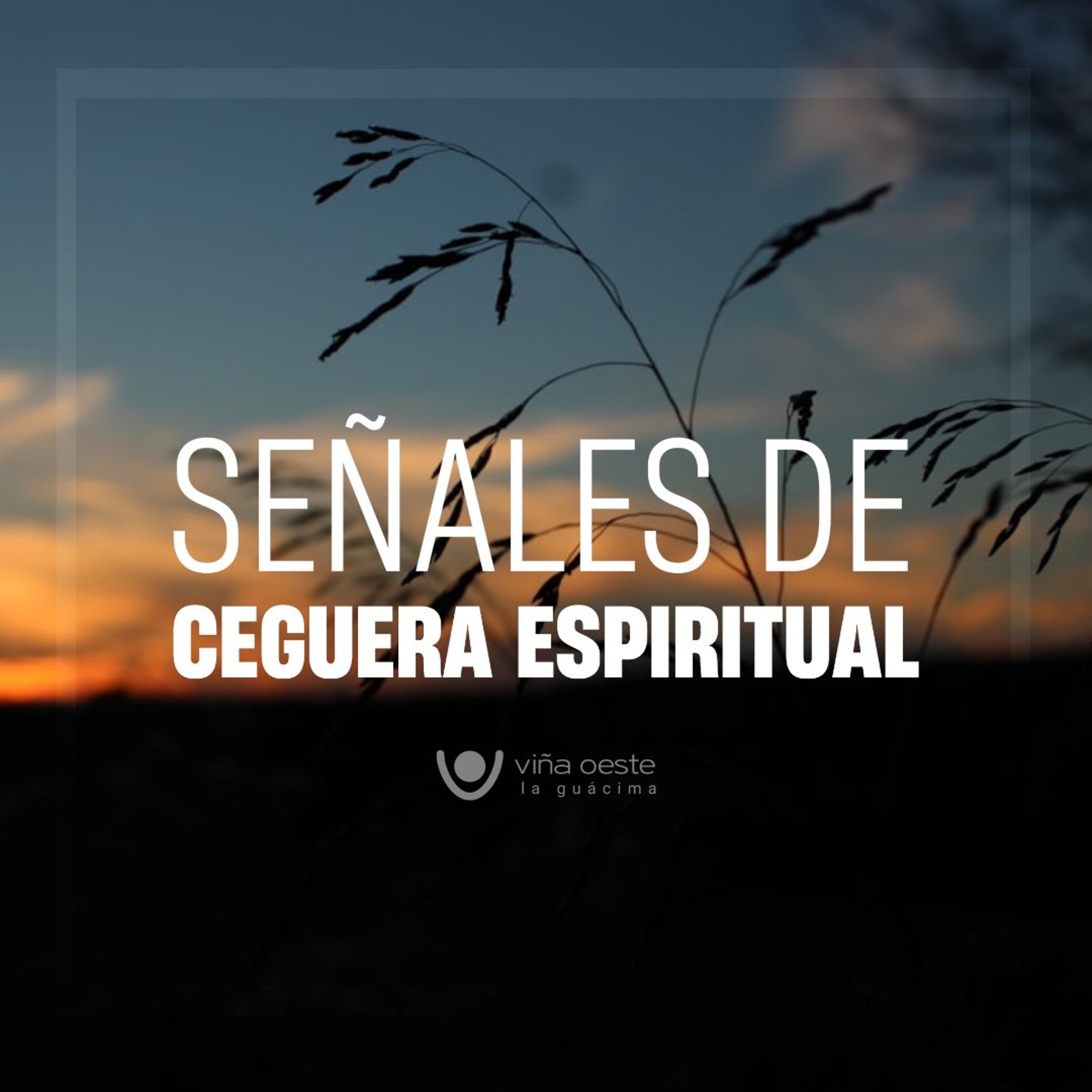 01-08-2026 - Señales de ceguera espiritual - Erika Vega episode artwork