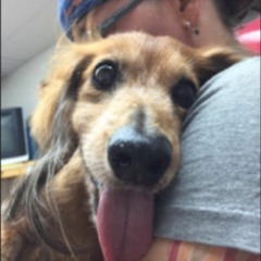 YOUNG CISTER DEBI LLEVARTE FLORES - JHENE AIKO FREQUENCY MASHUP