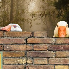 Anatidaephobia - Menacing Sampled Boom Bap Hip Hop Instrumental