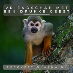 Vriendschap Sluiten Met Een Drukke Geest (Recovery Dharma NL)