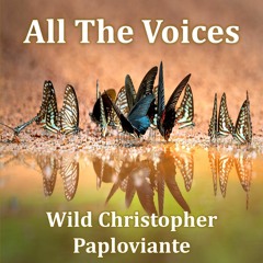 All The Voices (Wild Christopher and Paploviante)