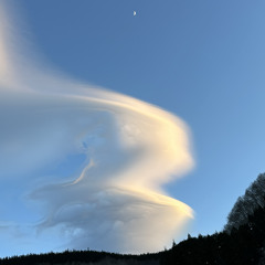 ﾊﾟｧ(🫲 ՞ਊ ՞)🫱