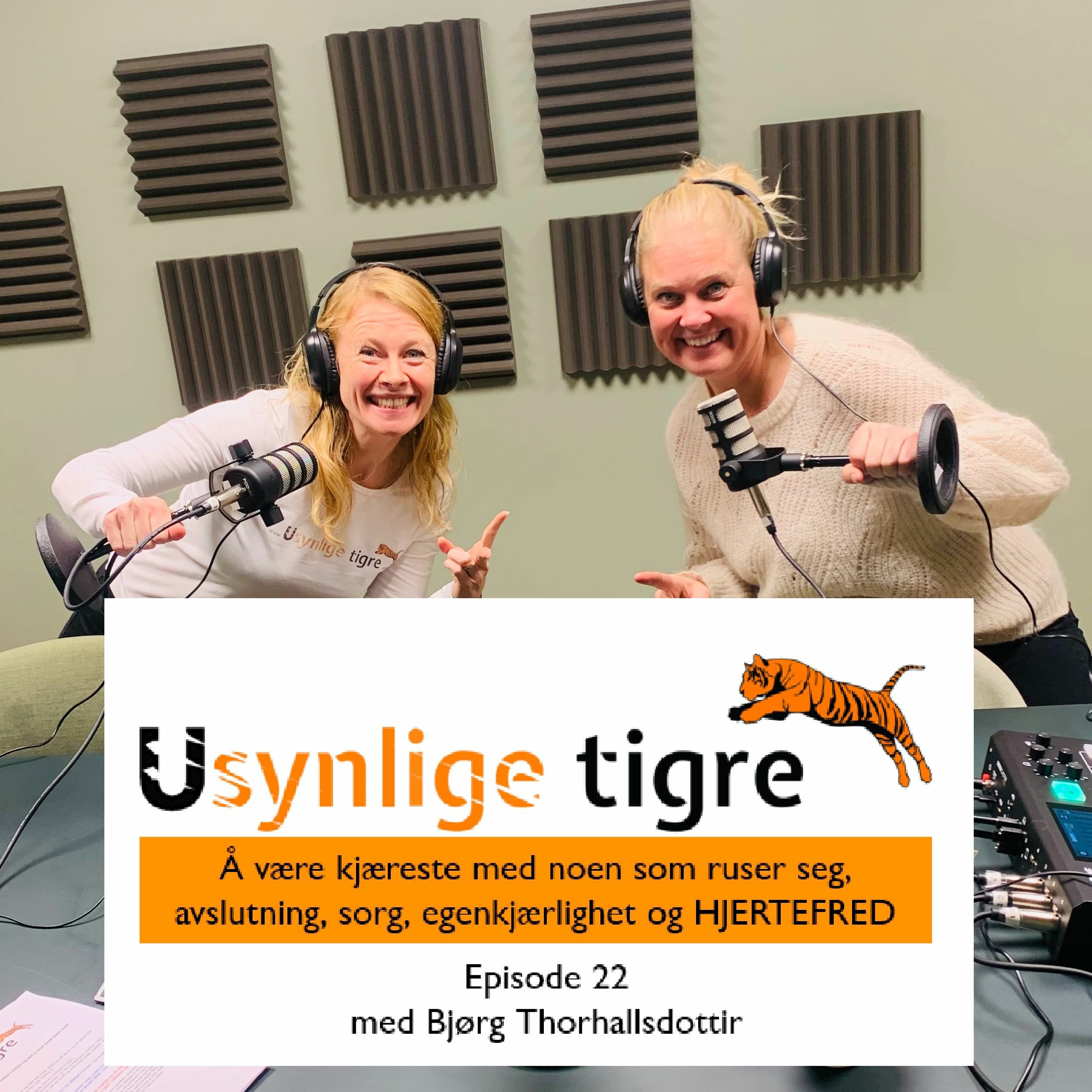 Usynlige tigre-podden