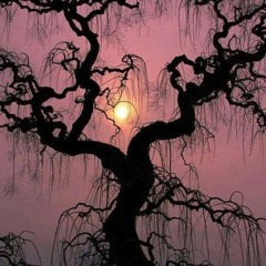 Song Of You w/David Wayne Hardy