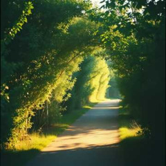 Dj.DamianR - Every Step With You (inspired by the poem of Roma Lemańska)