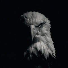 function- jerobeam fenderson (best part + slowed + reverb)